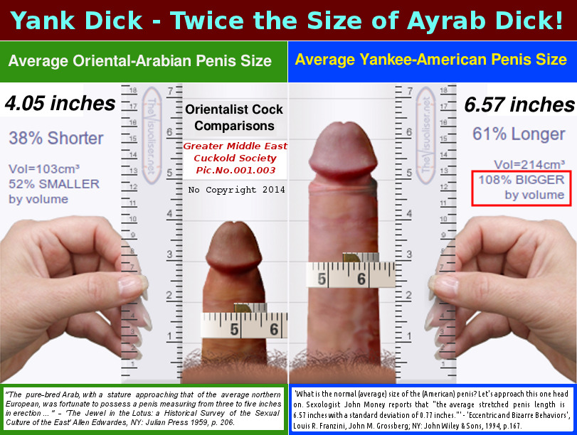 Average dildo size