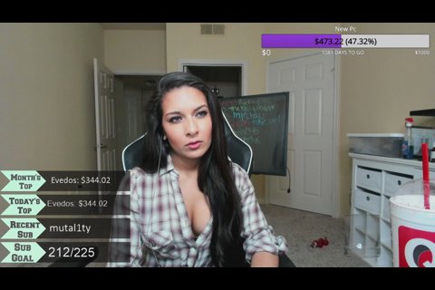 best of Flashes pussy twitch user drunk