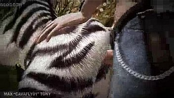 best of Sex zebra