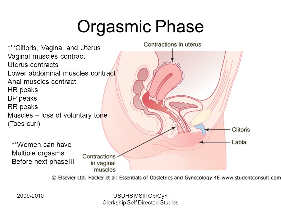 best of During orgasm contractions Cervix