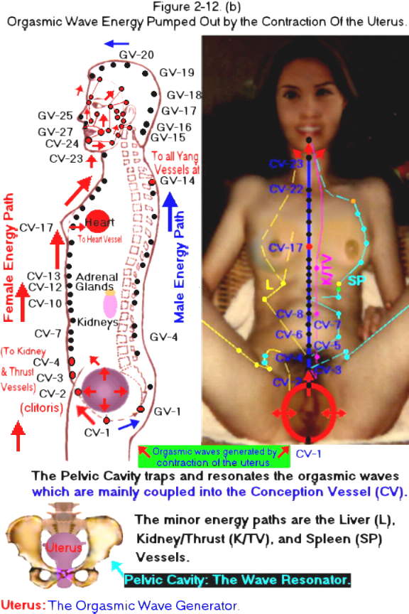 Shoulder pain during orgasm